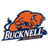 Bucknell Bison