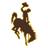 Wyoming Cowboys